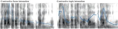 L1 grammatical attrition through the acquisition of competing L2 discourse features